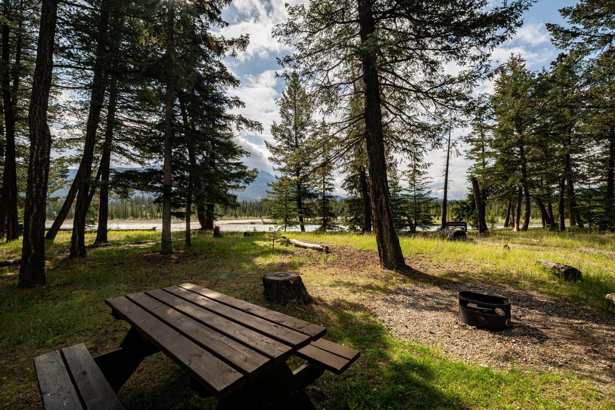 Pine Bungalows Jasper Kültér fotó